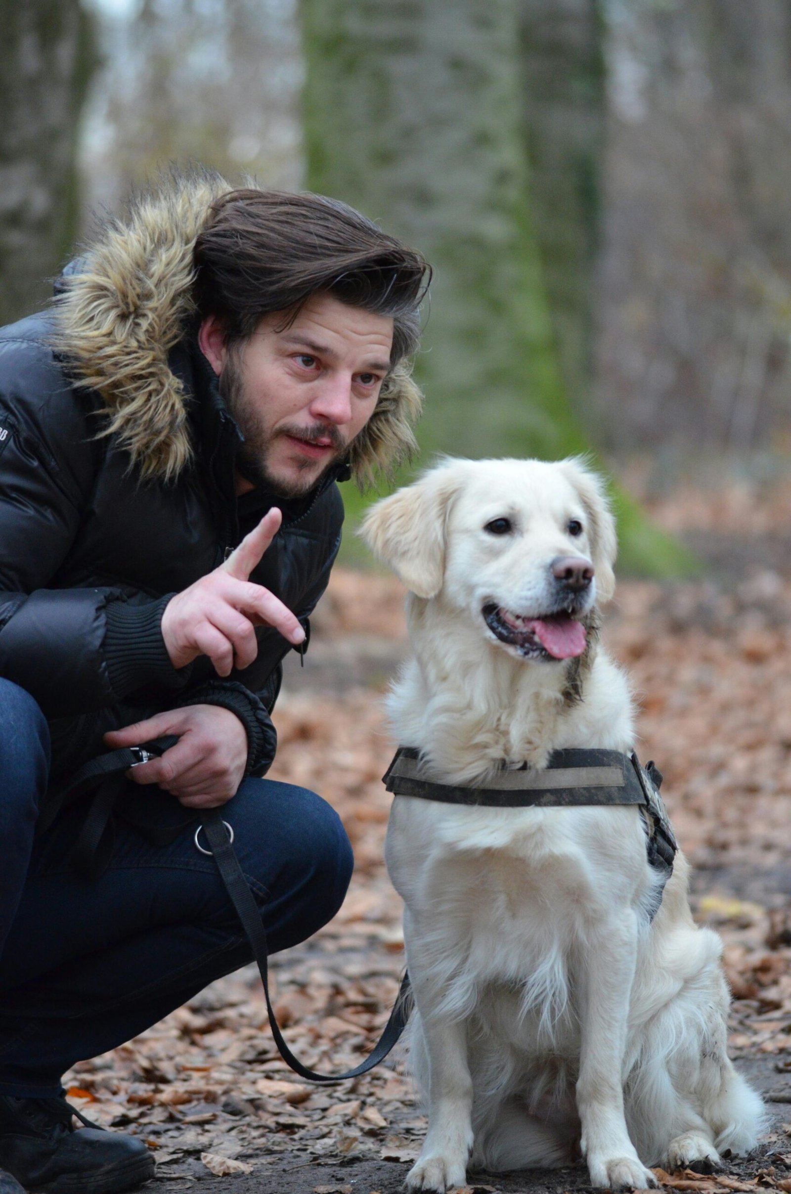 Step 3: Solve Behavior Problems – PupHabits Quick Fixes for Barking, Chewing, and More Dog barking and pulling on a leash during a walk with owner